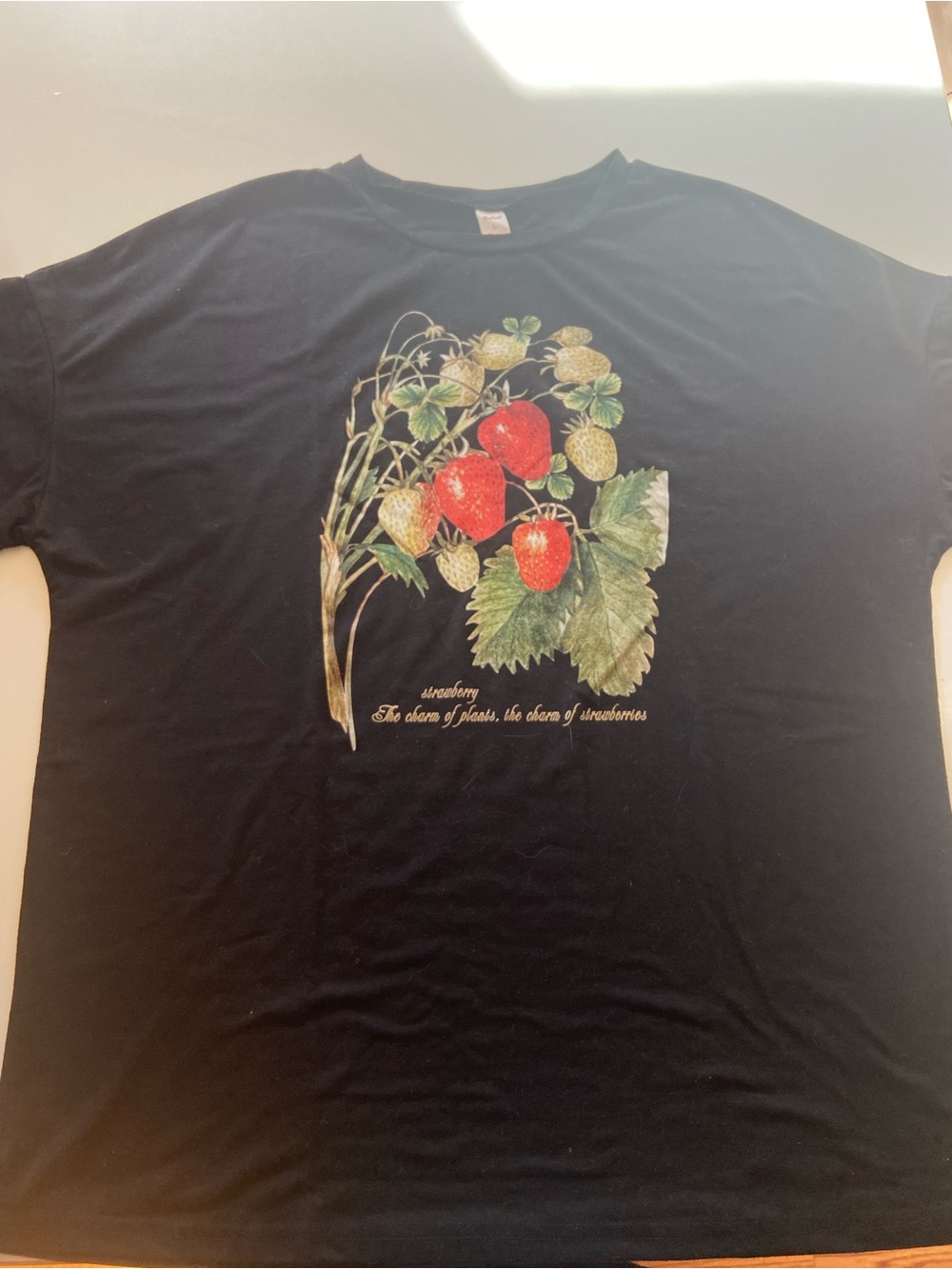 Romwe Black Strawberry Graphic Baggy Tee excellent condition young adult size L